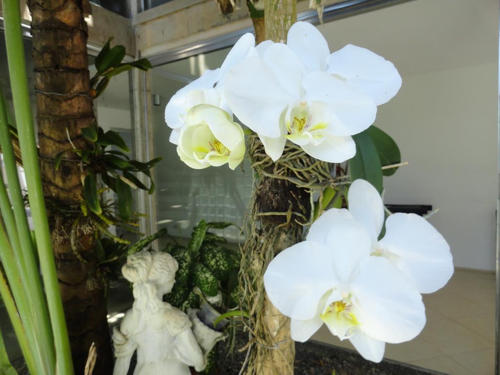 גוארויה Pousada Orquideas מראה חיצוני תמונה